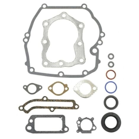 BRIGGS&STRATTON kit de joints jeu de segments 320023 493263 QUANTUM POWER XTL