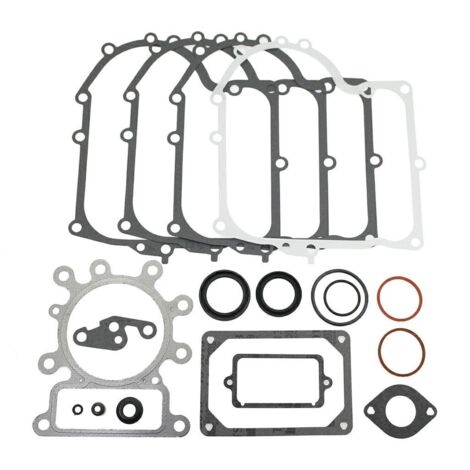 BRIGGS&STRATTON OHV tracteur de pelouse tondeuse kit d'étanchéité 691580