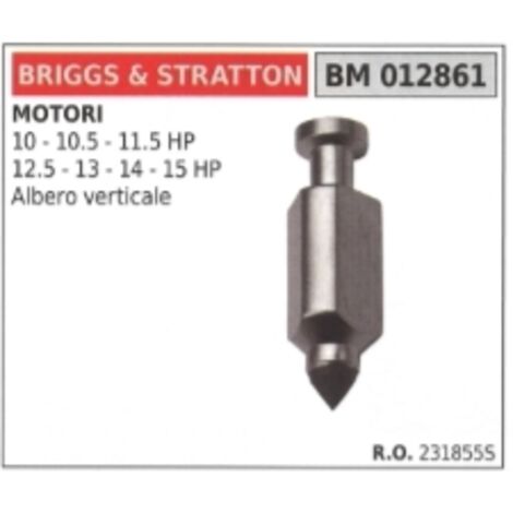 BRIGGS&STRATTON Vergaserstift für Rasentraktor mit vertikaler Welle