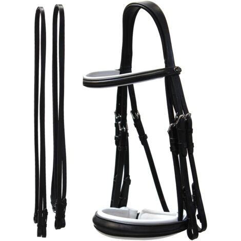 Briglia inglese da dressage in cuoio italiano Winner con fibbiera in acciaio inox
