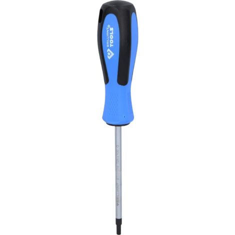 BRILLIANT TOOLS BT031014 Giravite TORX, T25 x 100 mm [Powered by KS TOOLS]
