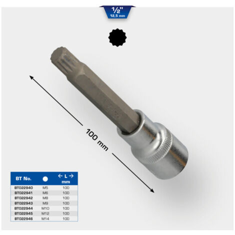 BRILLIANT TOOLS Douille à embout multident 1/2" 100 mm de long M10 - BT022944