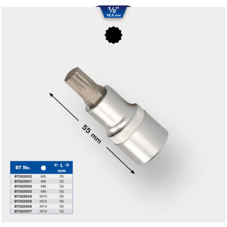 BRILLIANT TOOLS Douille à embout multident 1/2" 55 mm de long M5 - BT022930