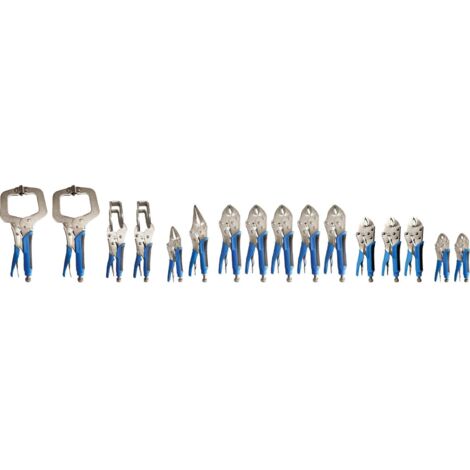 BRILLIANT TOOLS Pinces de serrage / Jeu de pinces de préhension 16 pièces - BT065016