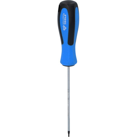 BRILLIANT TOOLS Schraubendreher TORX T6 x 100 mm - BT031037
