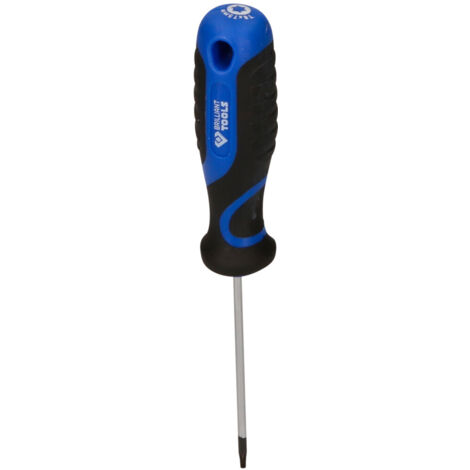 BRILLIANT TOOLS Schraubendreher TORX T8 - BT034903