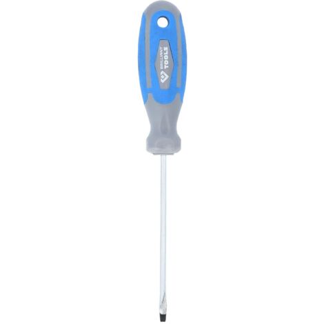 BRILLIANT TOOLS Tournevis pour vis à fente 3mm - BT030803
