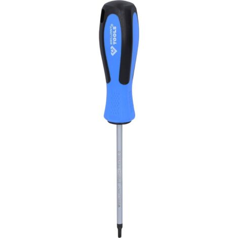 BRILLIANT TOOLS Tournevis TORX T15 x 100 mm - BT031044