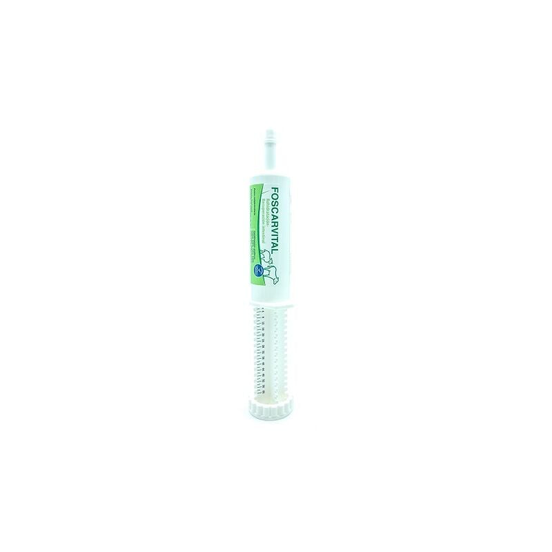 

FOSCARVITAL, Pienso Complementario Pasta, Rehidratación y Recuperación Intestinal, 60 ml - Brina