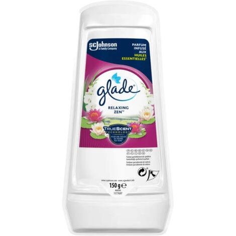 BRISE GLADE 150G GEL REFRESCANTE JARDÍN JAPONÉS /122