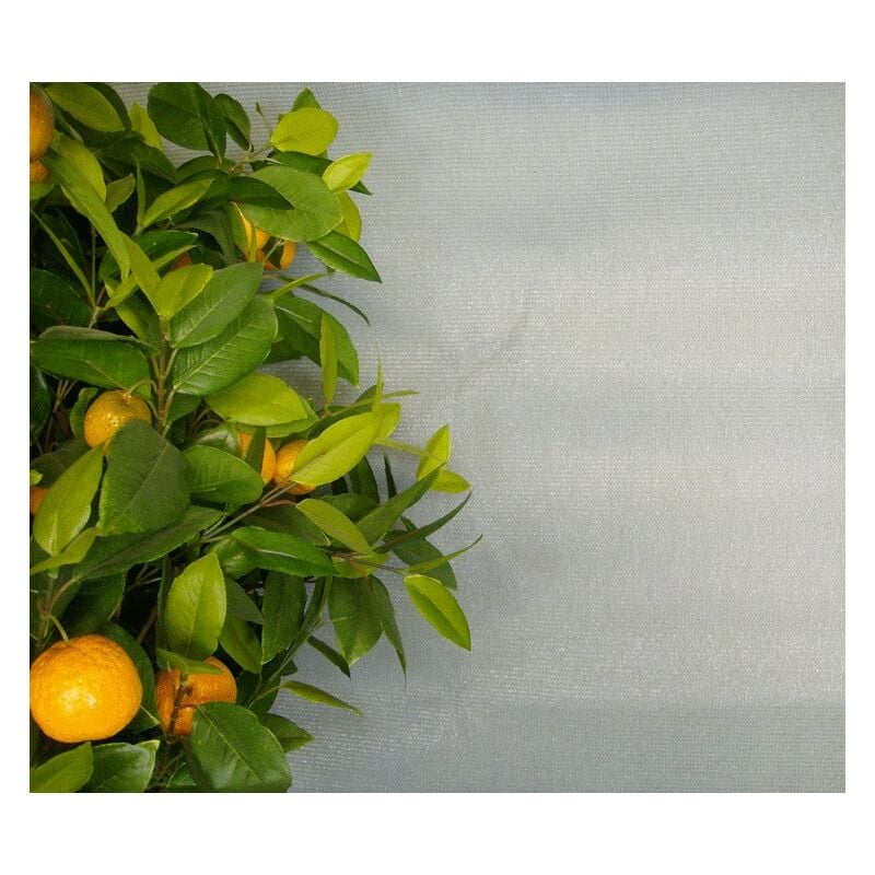 Brise-Vue de Couleur - 1 x 5m Gris - Gris