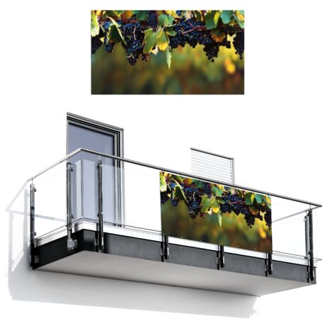 BRISE-VUE POUR BALCON Raisins - Vin - Nature - Vert 200x110