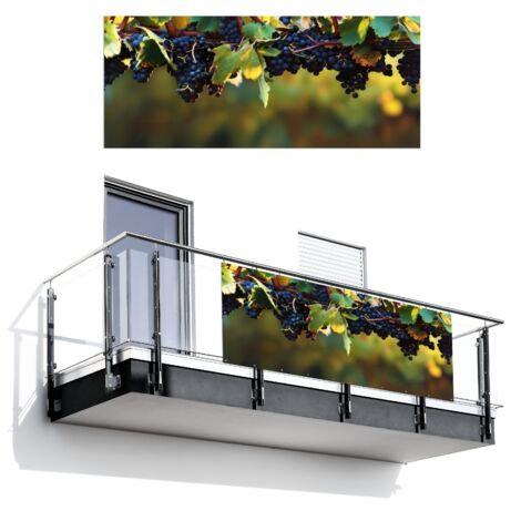 BRISE-VUE POUR BALCON Raisins - Vin - Nature - Vert 300x130