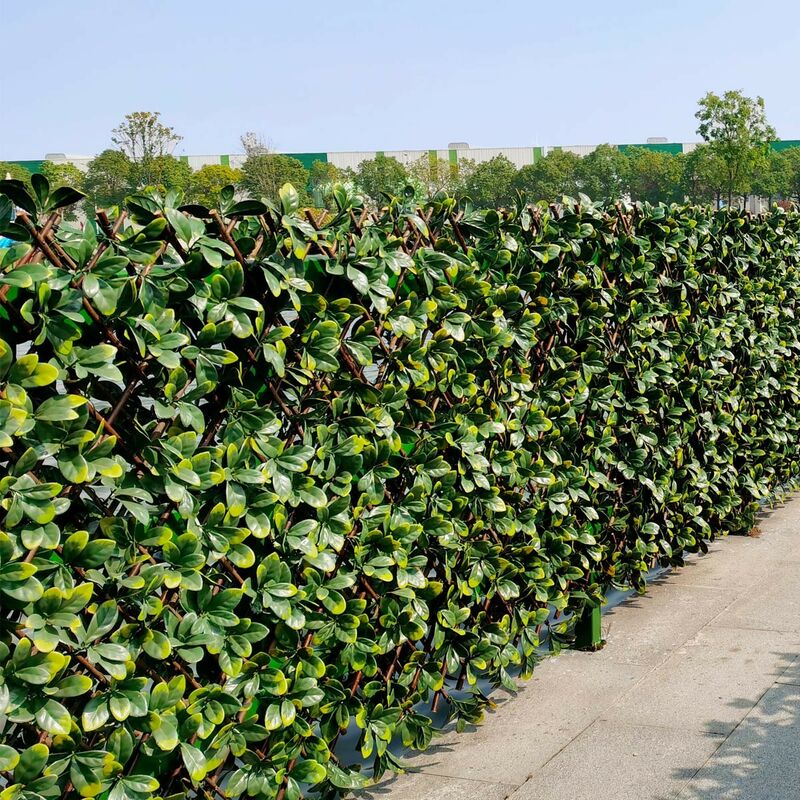 Mon Gazon Synthéti - Brise Vue Treillis Bois Extensible Fleur de Jasmin mgs