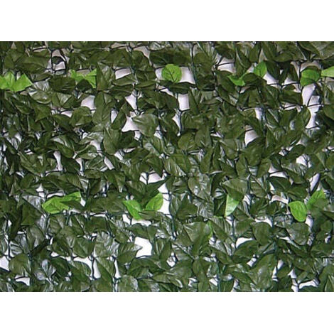 BRIXO EVERGREEN HECKE LAURO 1X20MT