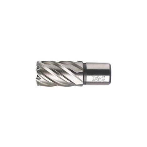Broca hueca HSS-E Co 8% Weldon//30,0 x 30 mm BC-QP  Bohrcraft 19510303025