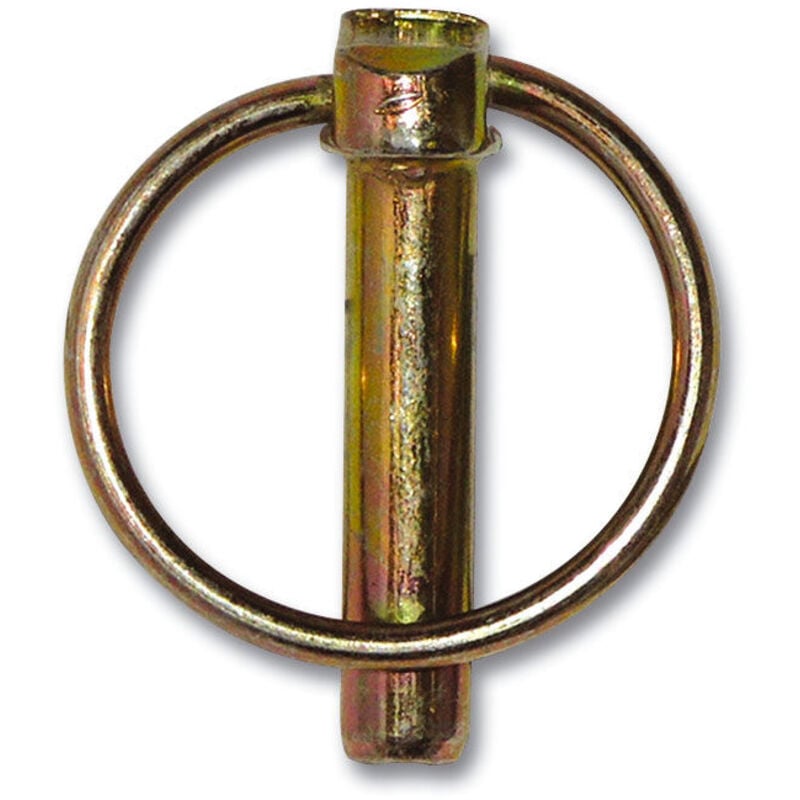 Fplus - Broche annulaire avl 8 mm dichromatée