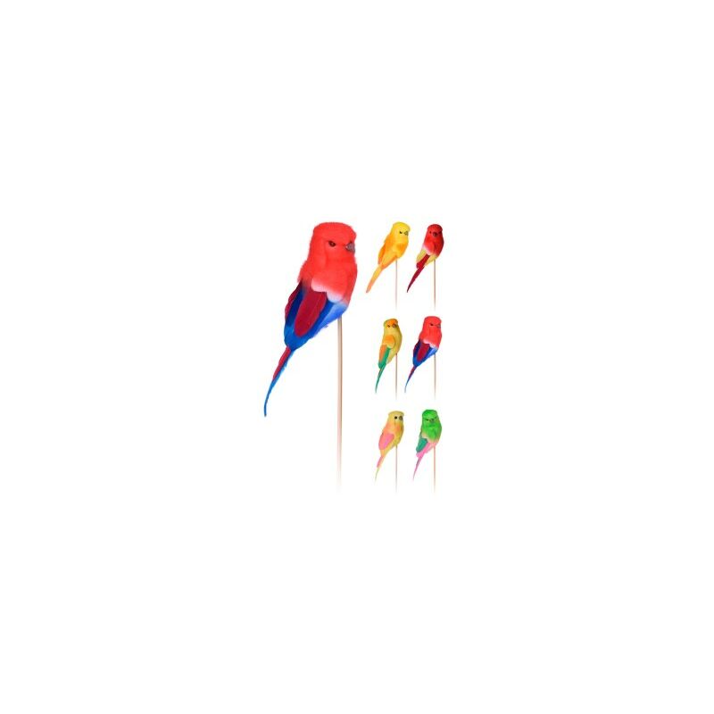 Importacion - Brochette perruche 25 cm assortie