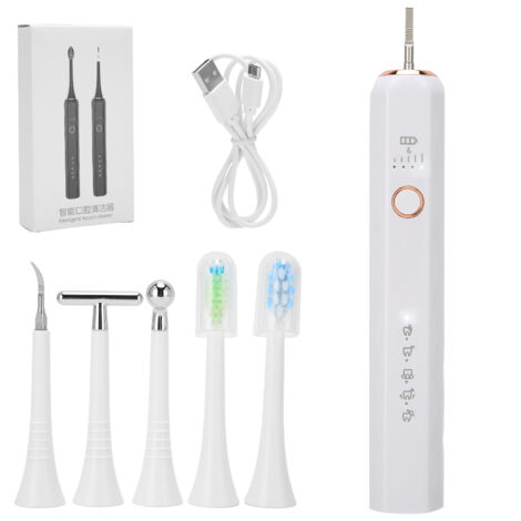 Brosse à Dents Électrique USB Anti-Tartre avec Détartreur Dentaire