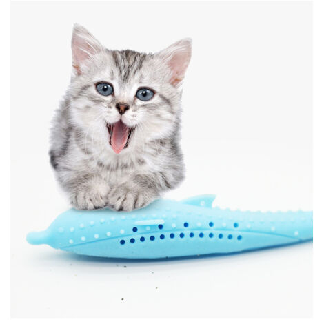 Brosse à dents en forme de poisson pour chat, animal de compagnie avec menthe pour chat, silicone
