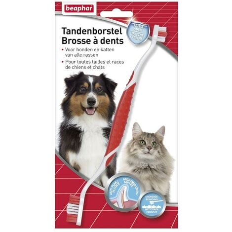 Brosse à dents haleine fraîche, chien et chat