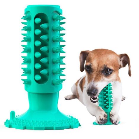 Brosse à dents pour chien avec ventouse pour nettoyage des dents, bâton molaire, jouets pour morsures de chien