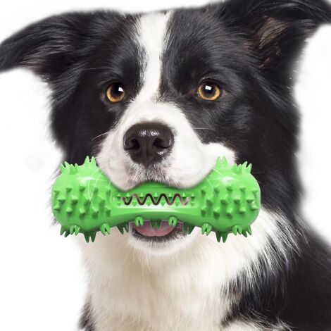 Brosse à dents pour chien, jouet à mâcher pour chien, baguette de nettoyage des dents en caoutchouc résistant aux morsures pour chiens de petite et moyenne taille (vert)