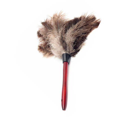 Brosse à plumeau en plumes d'autruche naturelles avec manche en bois, outil de nettoyage pratique pour la maison et les meubles