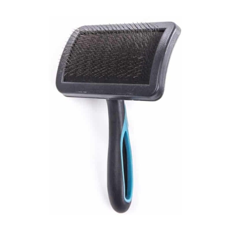 Brosse carde chien pm