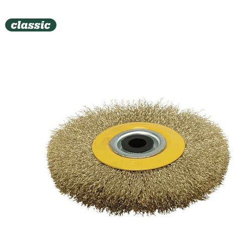 Brosse Circulaire Ø100x20mm Bouclée FC100 MOTA