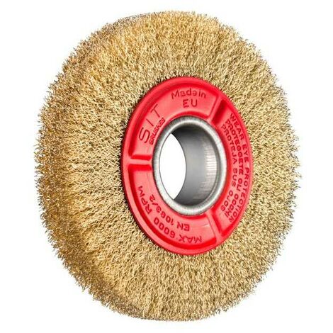 Brosse Circulaire 125X20 F.16 Bl Assis