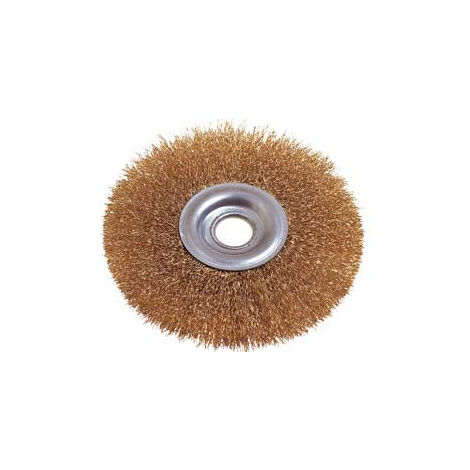 Brosse circulaire mm 150 F.16 488.00 Pg
