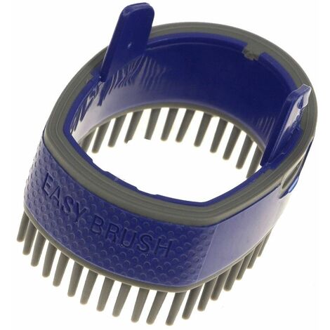 Brosse, embout bleue