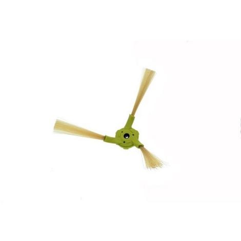 Brosse en plumeau gauche (AAB2)