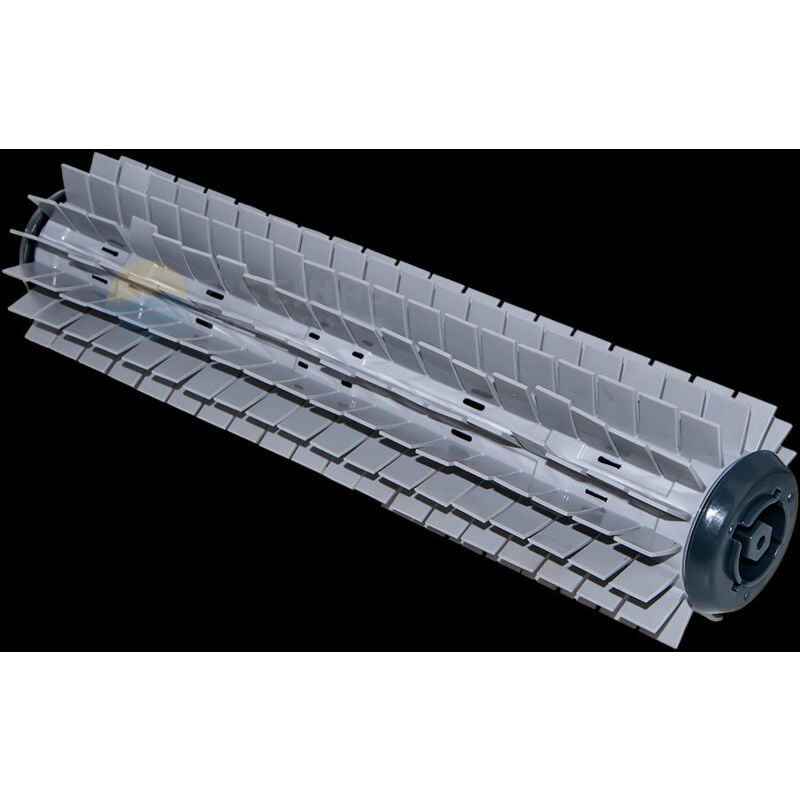 Maytronics Dolphin - Cepillo activo S1 gris para limpiafondos Dolphin