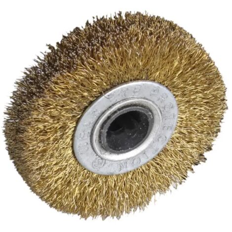 brosse métallique pour brosseuse Valex "S310" 10 mm