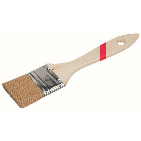 Brosse plate Eco industrie 100mm - ROULOR - 10090100