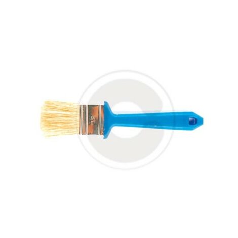 brosse plate S115 A  poils blonds manche plastique 30 mm