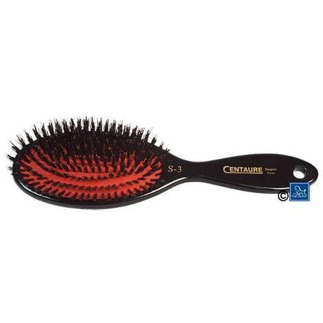 brosse en poil de sanglier pour chien