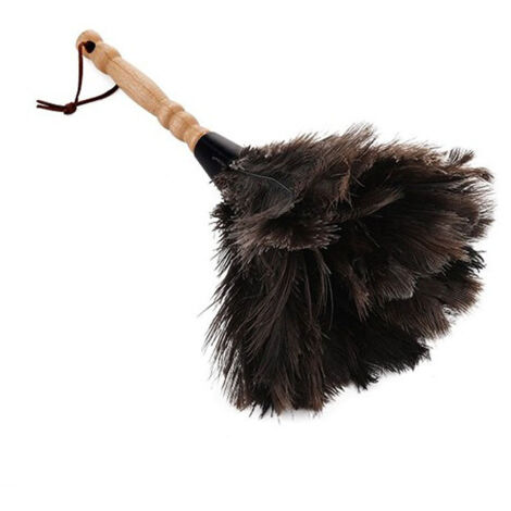 Brossette Anti Statique avec Manche en Bois en Plume d'Animal Douce pour Élimination de Poussière