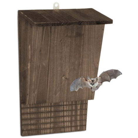 Brown pine wood bat box