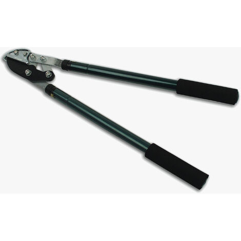 Brüder Mannesmann M 6035  Teleskop-Astschere