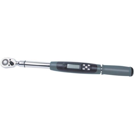 Brüder Mannesmann M18142 Chiave dinamometrica 20-200 Nm argento-verde