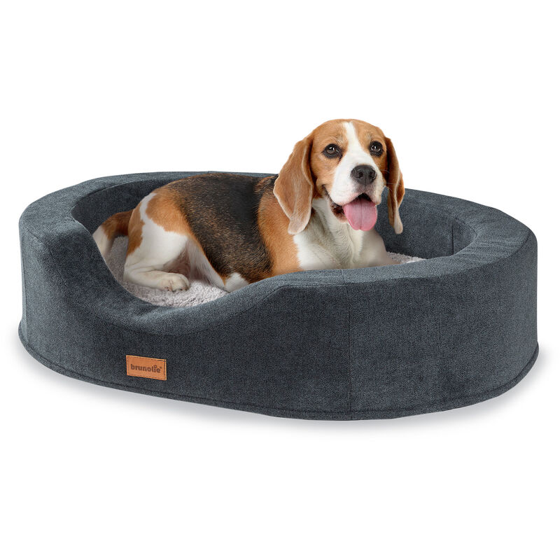 

Brunolie - Lotte Cama para perros Cojín para perros | Lavable | Ortopédica | Antideslizante | Espuma viscoelástica transpirable | Tamaño M (80 x 20 x
