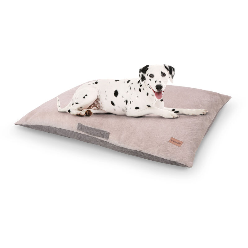 

Brunolie - Henry Cama para perros Colchón para perros | Lavable | Ortopédico | Antideslizante | Transpirable | Espuma viscoelástica | Tamaño L (100 x