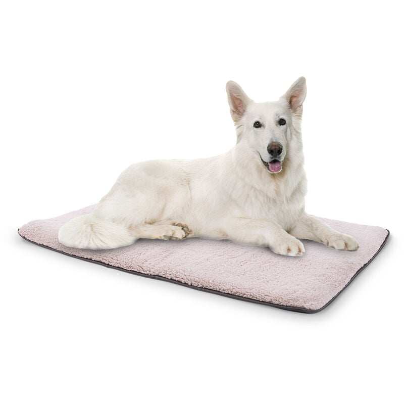 

Finn Cama para perros Colchón para perros | Lavable | Antideslizante | Transpirable | Poliéster/Lana | Tamaño M (120 x 5 x 80 cm)