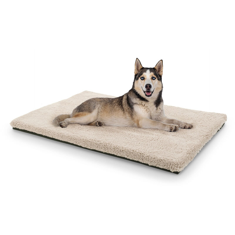 

Luna Cama para perros Colchón para perros | Lavable | Ortopédico | Antideslizante | Transpirable | Espuma viscoelástica | Tamaño L (100 x 5 x 70 cm)