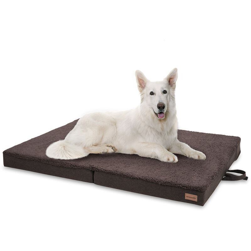 

Paco Cama para perros Colchón para perros | Lavable | Ortopédico | Antideslizante | Transpirable | Espuma viscoelástica plegable | Tamaño XL (120 x