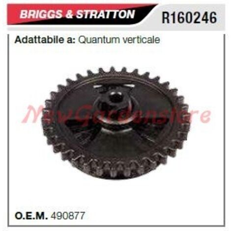 B&S poulie de démarrage tondeuse à gazon quantum vertical R160246
