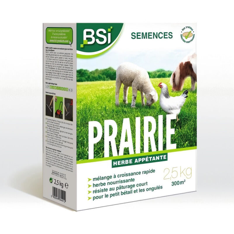 BSI - semences de gazon - prairie - haute qualité - grande surface - jusqu'a 375M² - 7,5KG